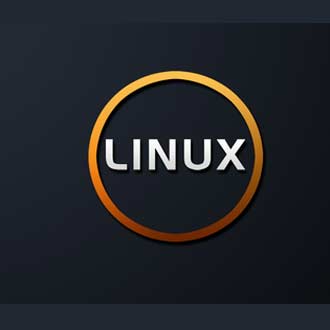 經驗之談：如何在服務器上安裝專業版的linux呢？.jpg