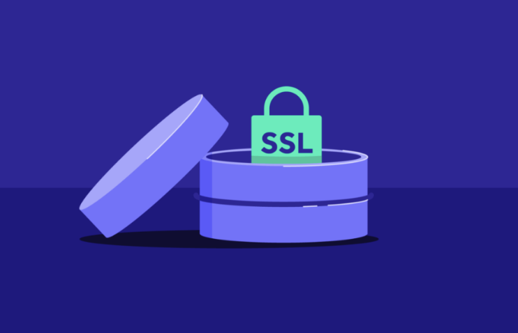 67511be400733.png 如何確保MySQL SSL證書的安全存儲(chǔ)?.png